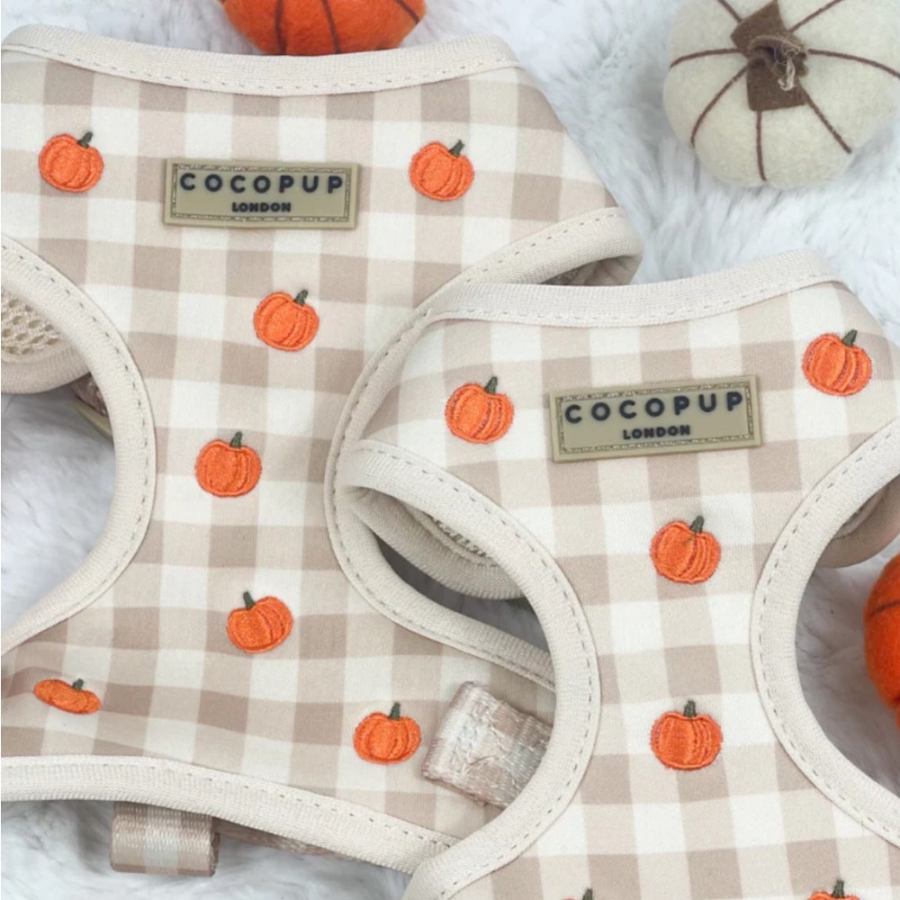 COCOPUP LONDON: Pumpkin Patch Adjustable Harness